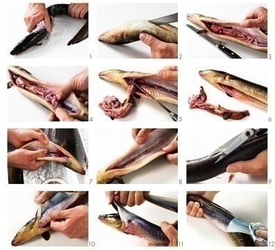 How to Clean a Fish – How To Clean It